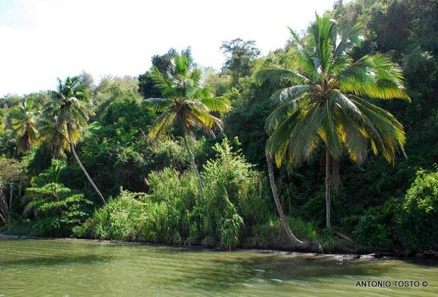 Chavon River- Apacalypse Now and Jurassic Park are filmed here